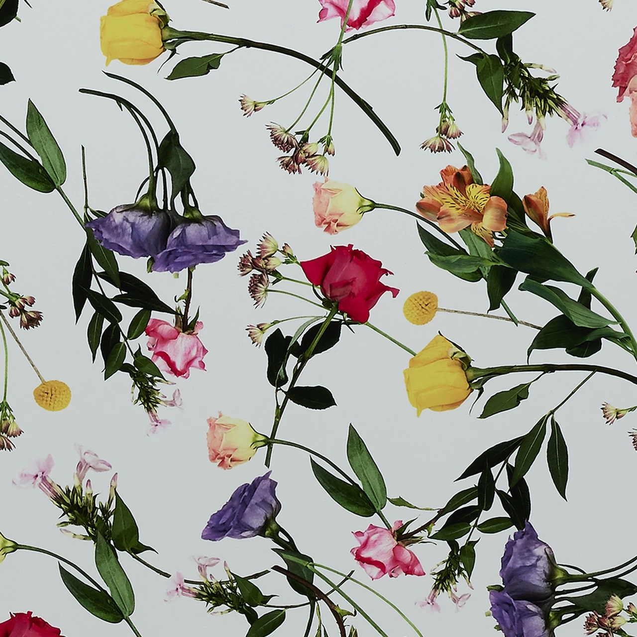 Ted Baker Take Flight 4 Wheel Medium Suitcase - 69cm 18 Ted Baker Take Flight 4 Wheel Medium Suitcase - 69cm - Image 18